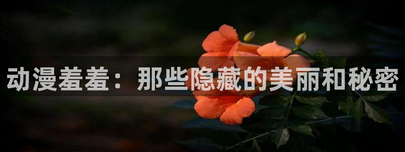 春野樱同人动漫